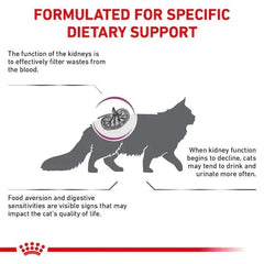 Royal Canin Feline Renal For Cat - Dry food For Chronic Kidney Disease
