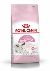 Royal Canin Mother & Baby Dry Food - ( Queen & Kitten )
