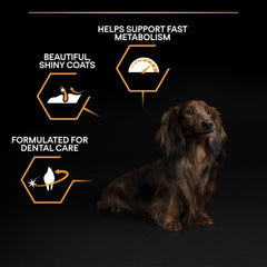 Proplan Small & Mini Adult With OPTIBALANCE Rich In Chicken Dry Dog Food