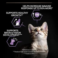Proplan Kitten Dry Food