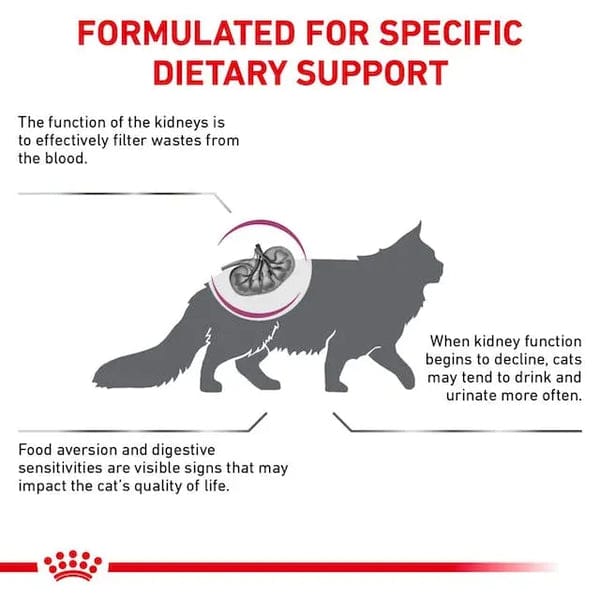 Royal Canin Feline Renal For Cat - Dry food For Chronic Kidney Disease