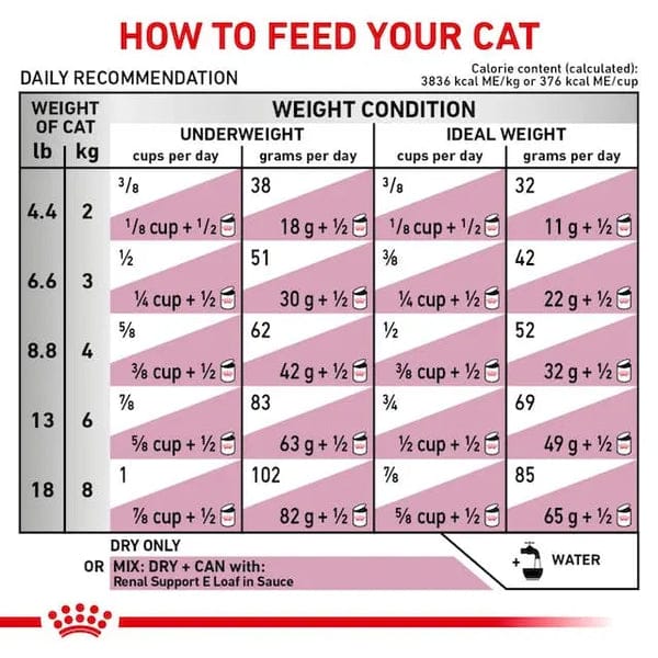 Royal Canin Feline Renal For Cat - Dry food For Chronic Kidney Disease