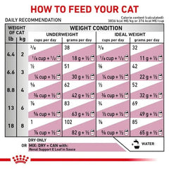 Royal Canin Feline Renal For Cat - Dry food For Chronic Kidney Disease