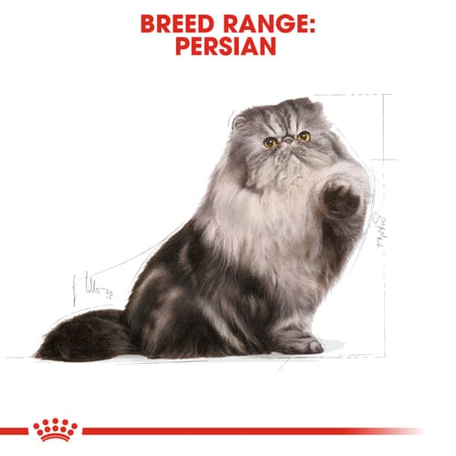 Royal Canin Persian Adult Dry Food