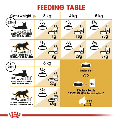 Royal Canin Persian Adult Dry Food