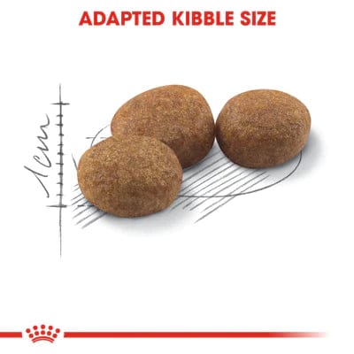 Royal Canin Sterilised 37 Dry Food - ( Neutered Adult Cats )