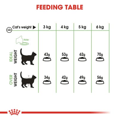 Royal Canin Digestive Care Dry food - ( Sensitive Stomachs , Adult Cats )