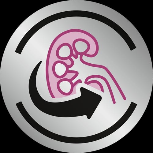 Royal Canin EARLY RENAL For Cat - Canine ( 1.5 KG ) - Dry Food For Renal Insufficiency