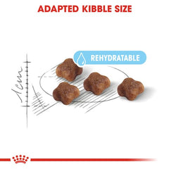 Royal Canin Mother & Baby Dry Food - ( Queen & Kitten )