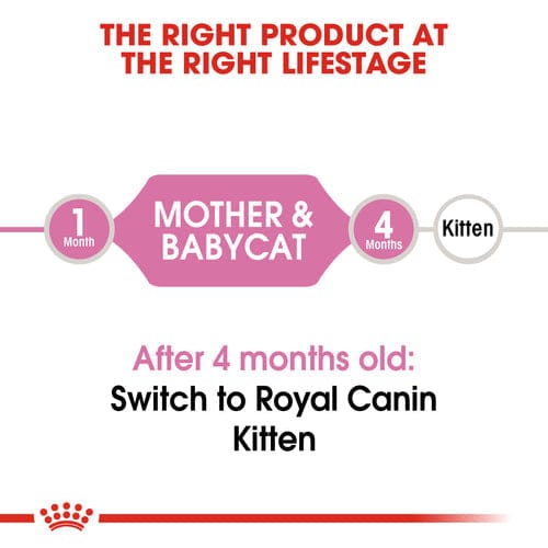 Royal Canin Mother & Baby Dry Food - ( Queen & Kitten )