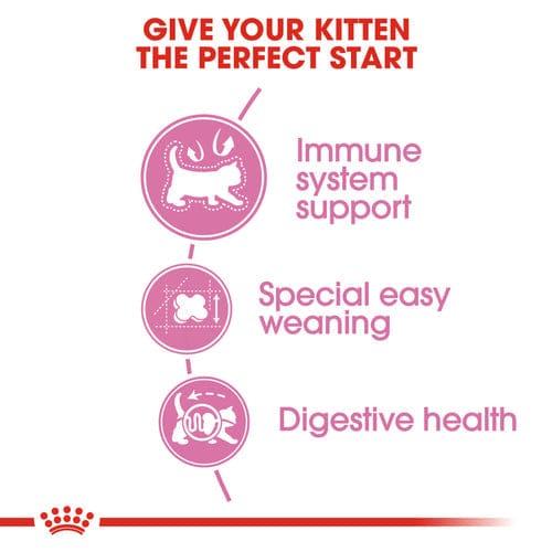 Royal Canin Mother & Baby Dry Food - ( Queen & Kitten )
