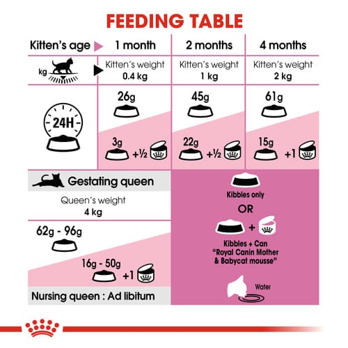 Royal Canin Mother & Baby Dry Food - ( Queen & Kitten )