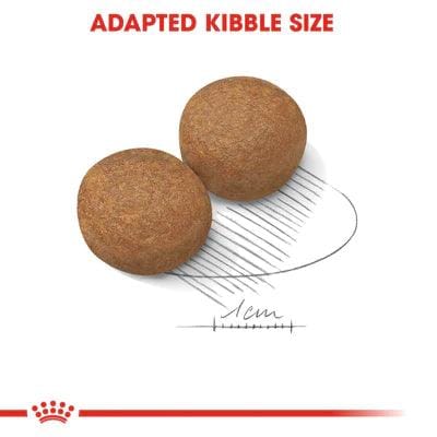 Royal Canin Maxi Adult Dry Food