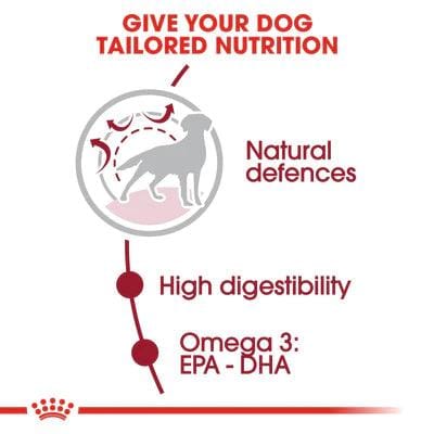 Royal Canin Medium Adult Dry Food