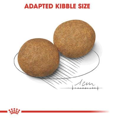 Royal Canin Medium Adult Dry Food