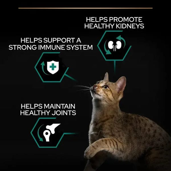 Proplan Renal Plus Original Adult 1+year Rich In Chicken