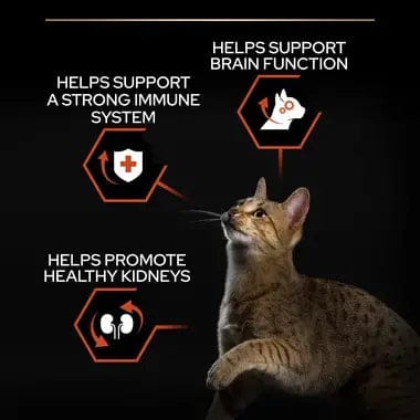 Proplan Vital Function Adult 1+year Rich In Salmon Dry Cat Food 1.5 KG