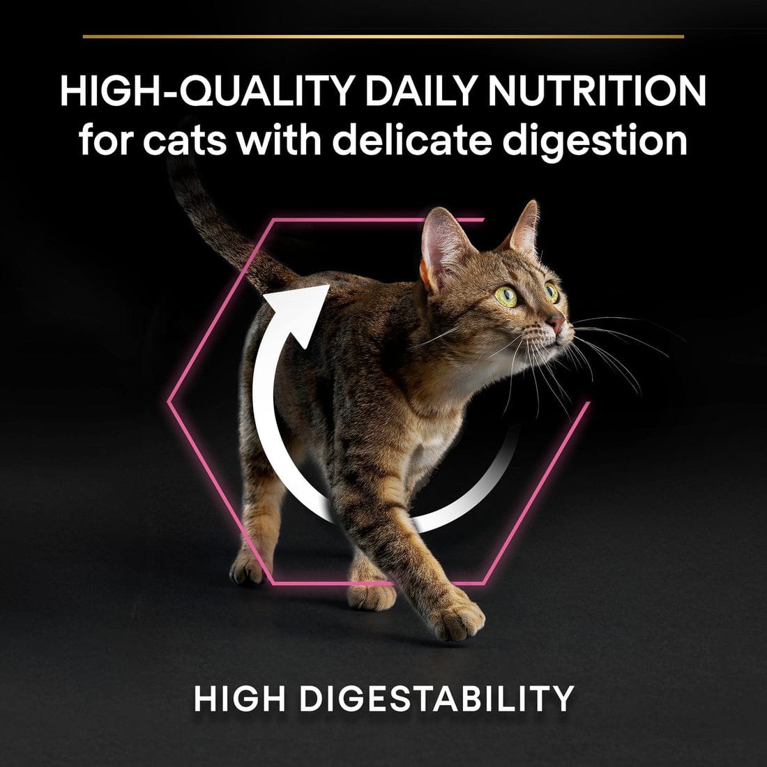 Proplan Delicate Digestion Adult Rich In Turkey Dry Cat Food