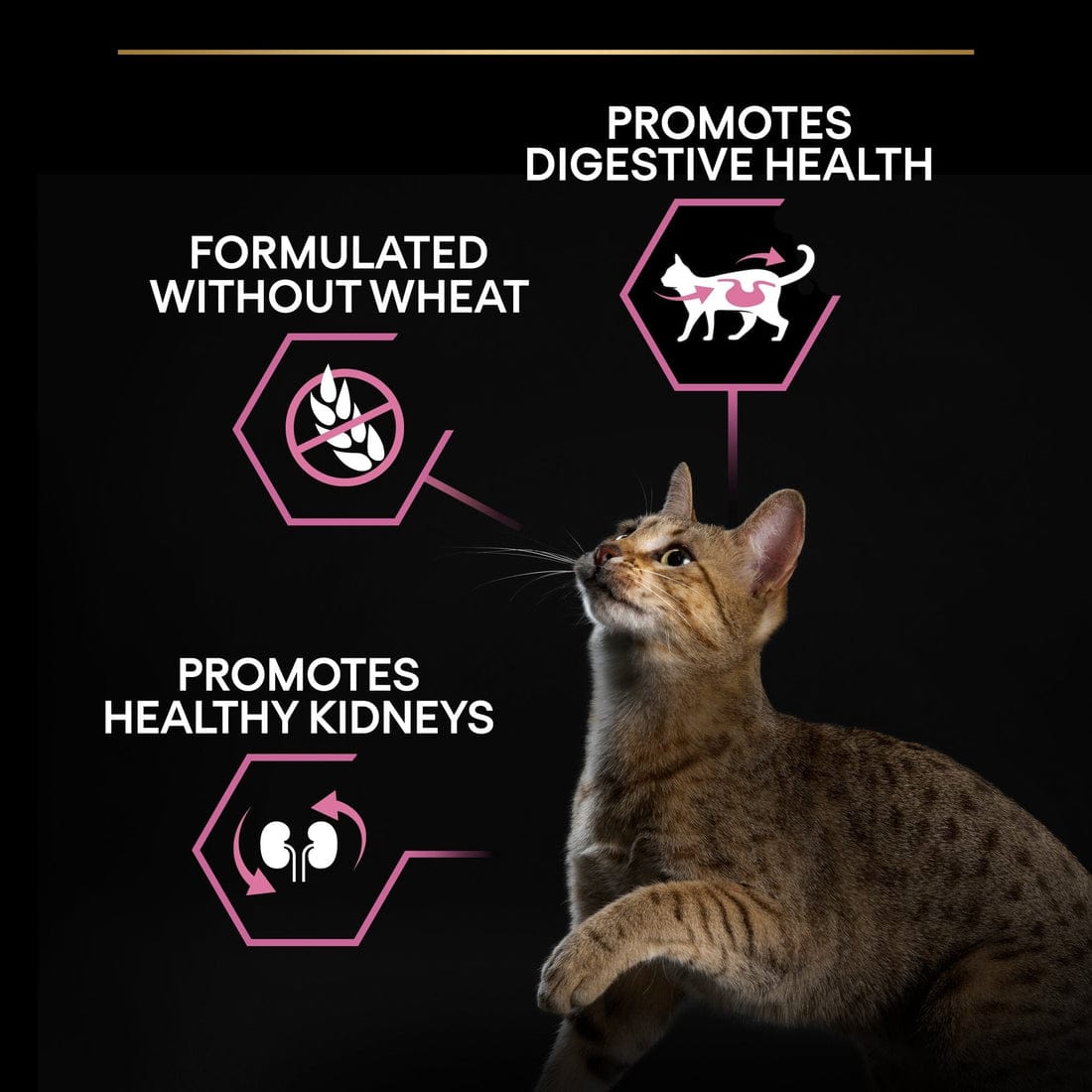Proplan Delicate Digestion Adult Rich In Turkey Dry Cat Food