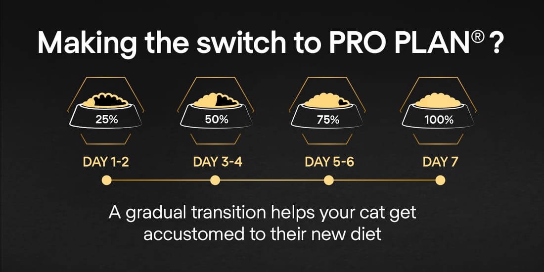 Proplan Delicate Digestion Adult Rich In Turkey Dry Cat Food