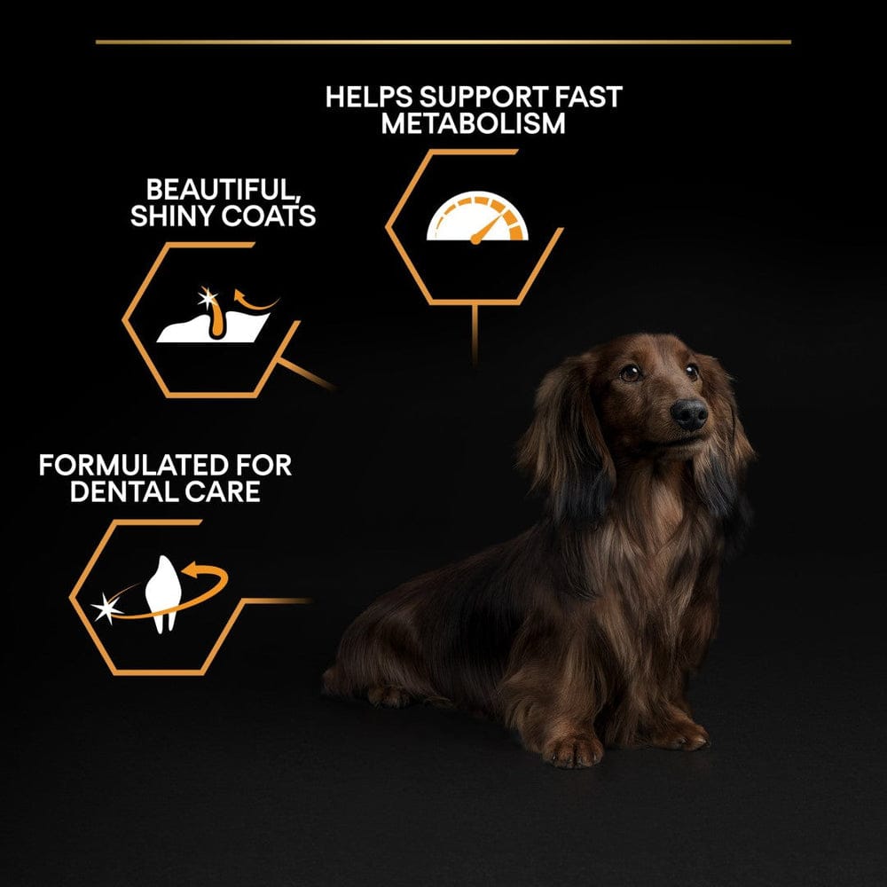 Proplan Small & Mini Adult With OPTIBALANCE Rich In Chicken Dry Dog Food