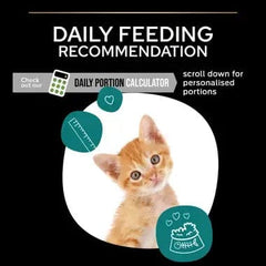 Proplan Kitten Dry Food