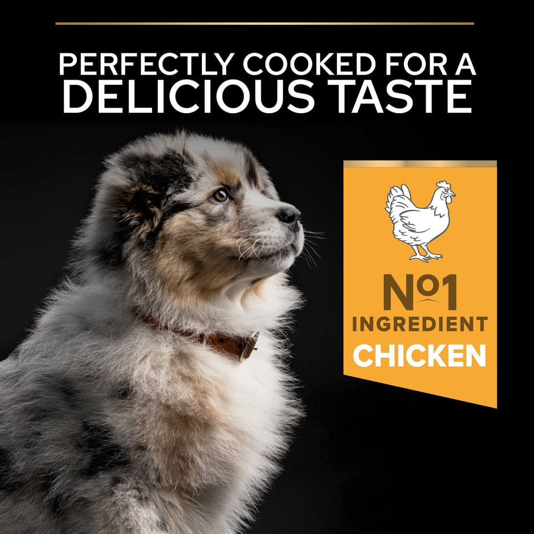 Proplan Medium Puppy Rich In Chicken Dry Dog Food