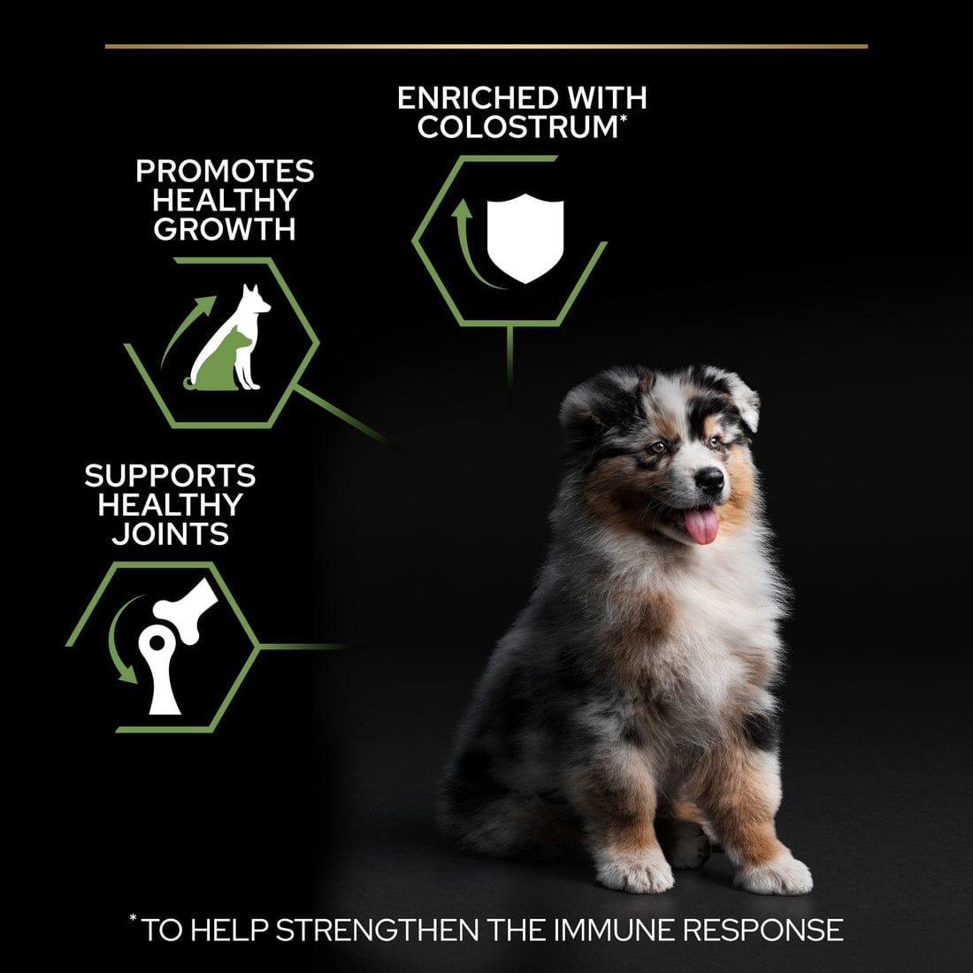 Proplan Medium Puppy Rich In Chicken Dry Dog Food