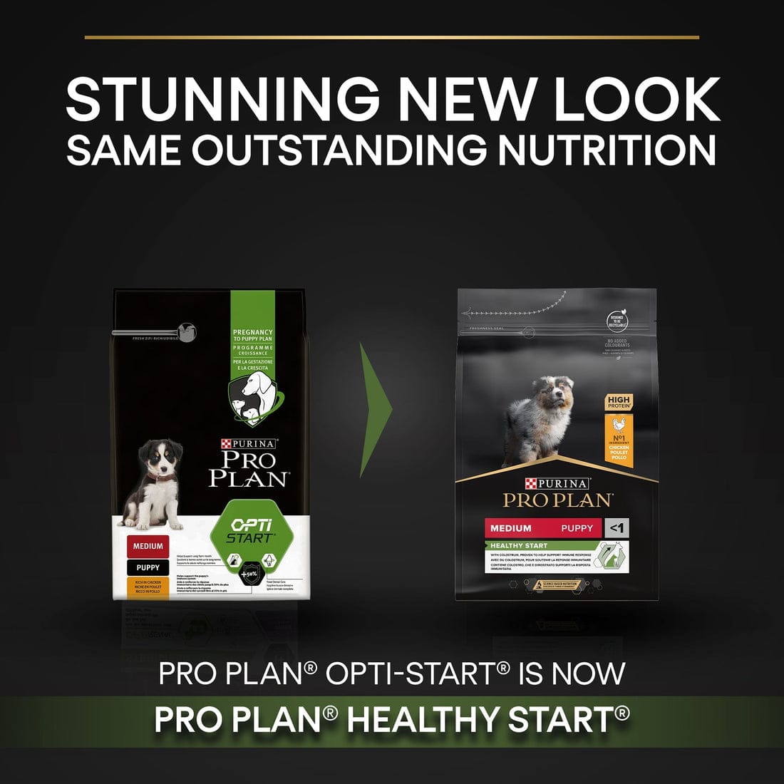 Proplan Medium Puppy Rich In Chicken Dry Dog Food