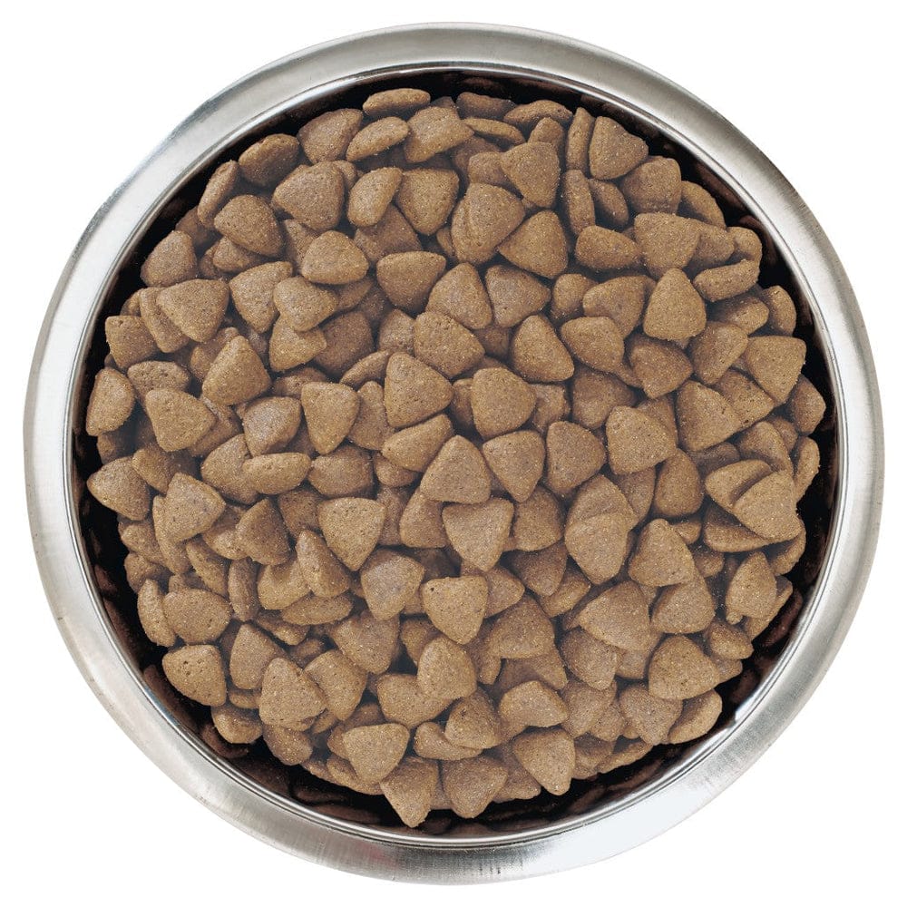 Proplan Medium Puppy Rich In Chicken Dry Dog Food