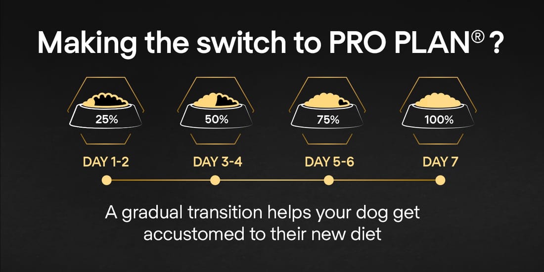 Proplan Medium Puppy Rich In Chicken Dry Dog Food